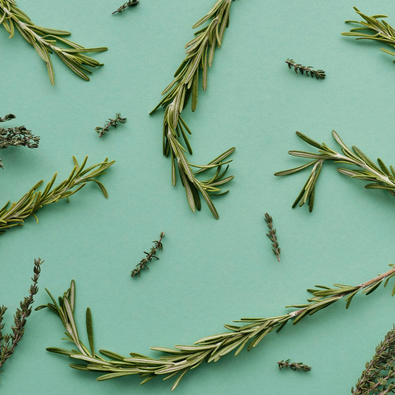Rosemary + Thyme Combo