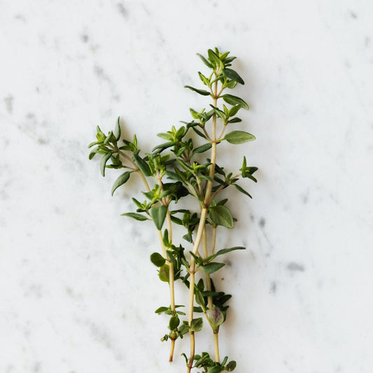Thyme Overload